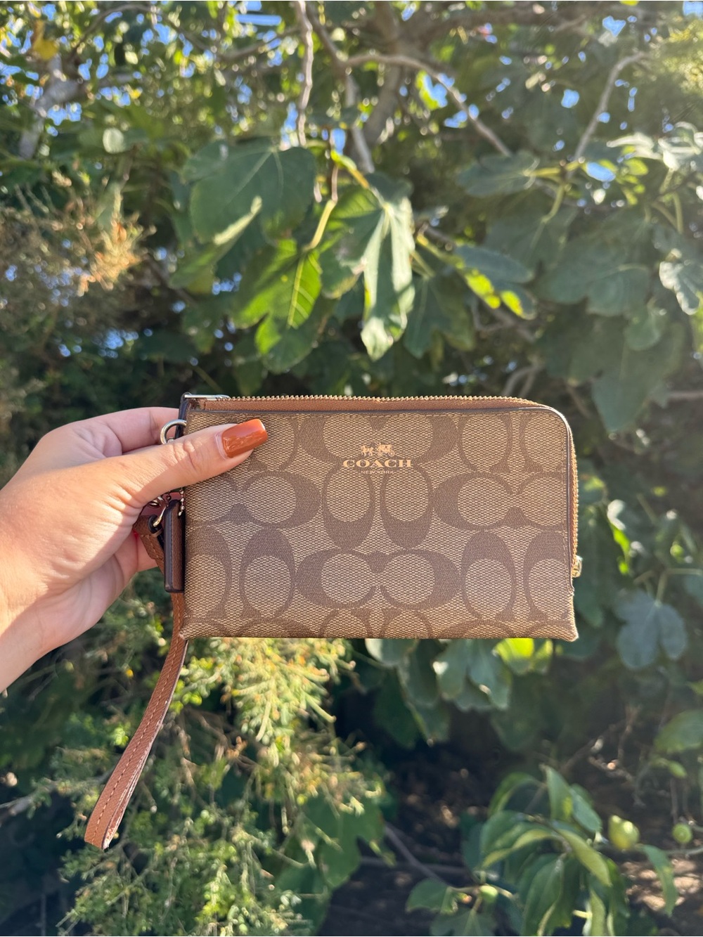 Coach Brown Signature double Zip Wallet/Wristlet